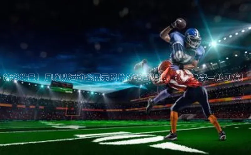 球盟会平台官网普信公司