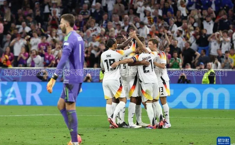 球盟会平台官网百度翻译