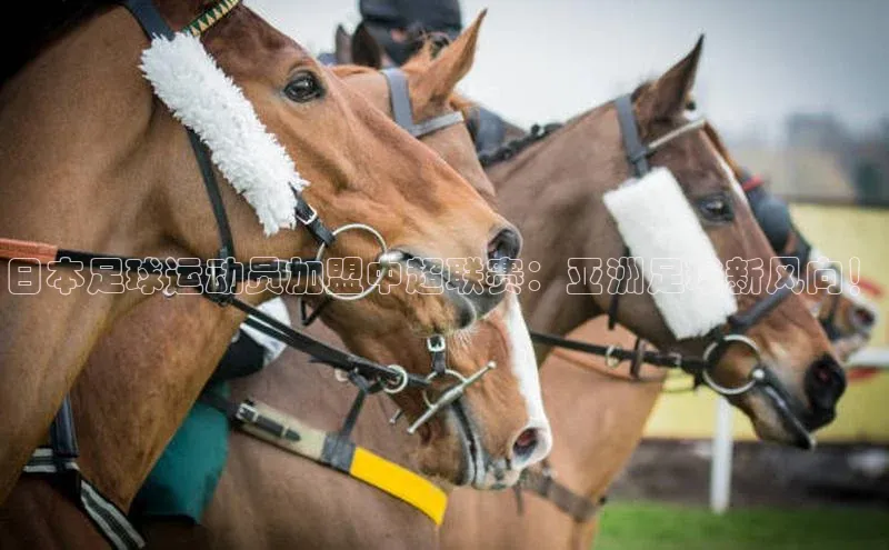 球盟会手机版登录美团