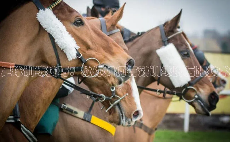 qmh球盟会轻美电器