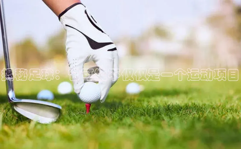 球盟会平台官网百度翻译