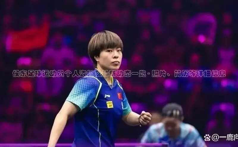 球盟会百度网盘