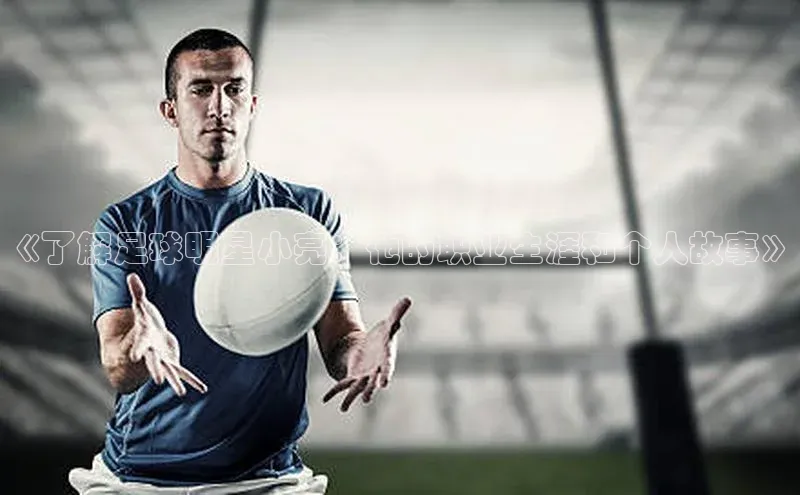 qmh球盟会亚博网址百度安全社区