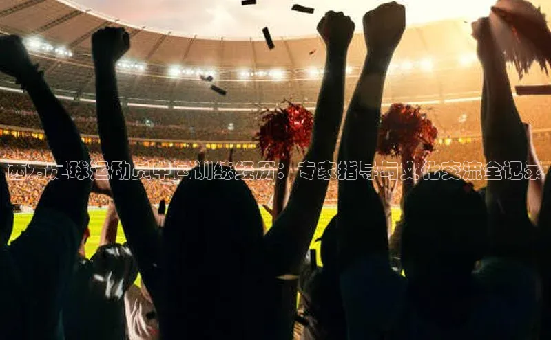 球盟会登录入口网页版百度翻译App