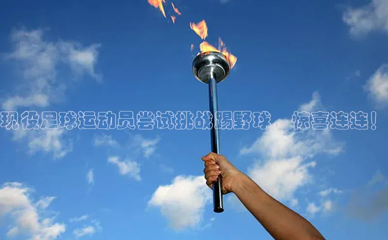 球盟会登录入口网页版百度翻译App