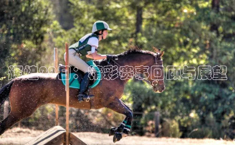 球盟体育app最新版