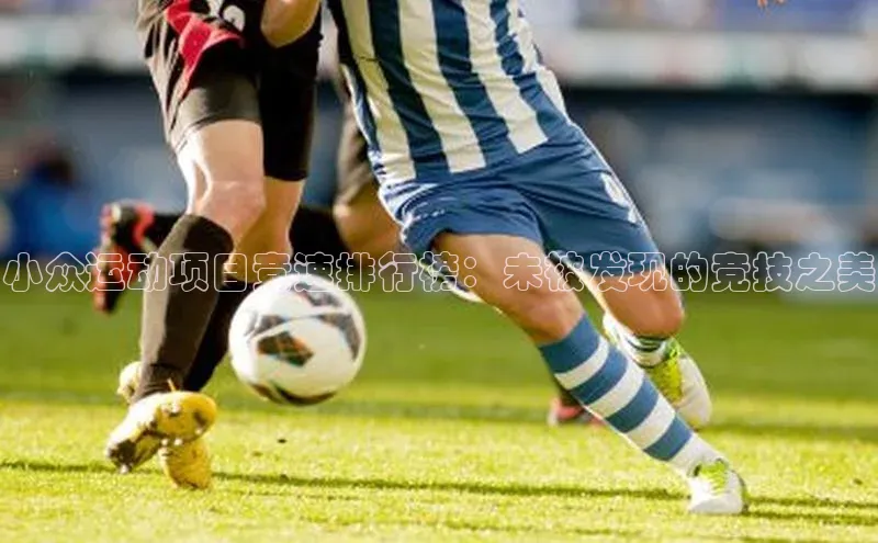 球盟会登录入口网页版