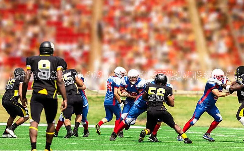 球盟体育下载app