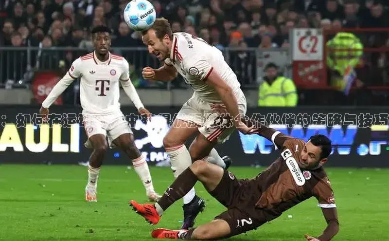 球盟会在线登录