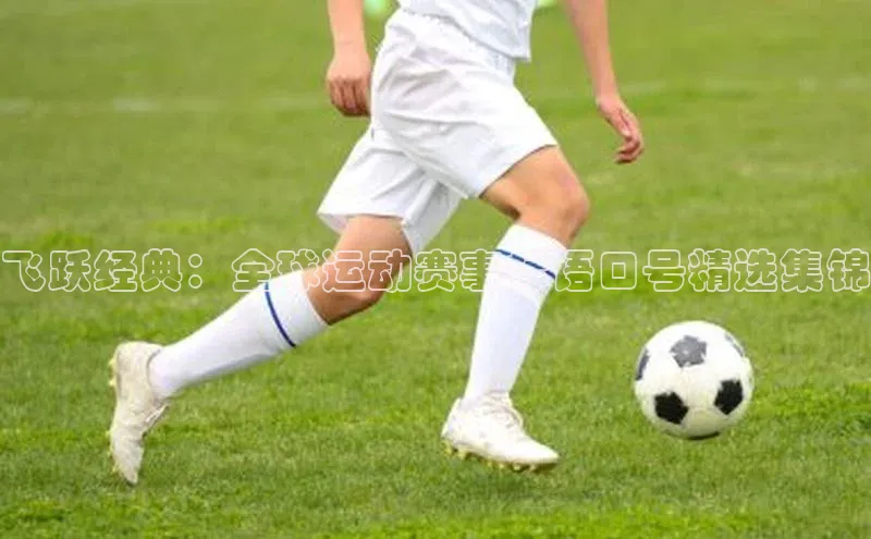 球盟会登录入口网页版